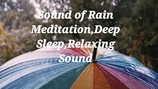 Sound of Rain Meditation,Deep Sleep,Relaxing Sound