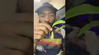 Nepenthes or monkey cup talk