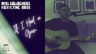 NOEL GALLAGHERS HIGH FLYING BIRDS - 
