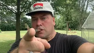8/14/24: LITECOIN IS SMOKING THE COMPETITION💨