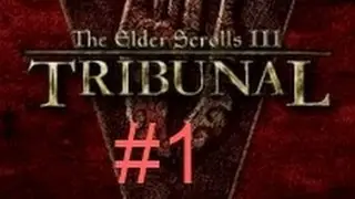 TES 3 Tribunal - 1 серия. Знакомство с Морнхолдом.