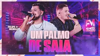 Um Palmo de Saia - Felipe e Murillo