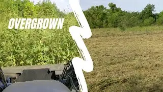 Clearing Overgrow Field - Brush-hog Transforms Tall Grass