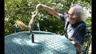 Squirrel Brunch