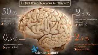 ✔ Le Top 10 des Personnes les Plus Intelligentes du Monde