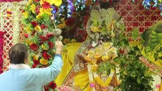श्री राधावल्लभ लाल जू का पाटोत्सव की झलकियां व् दर्शन /  RadhaVallabh Prakatya Utsav 2023