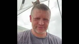 Kitten