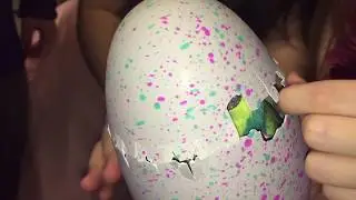 Пингвин вылупляется из яйца Hatchimals Интерактивная игрушка