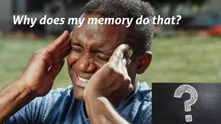 How can you remember song lyrics all your life but forget the time right after looking at a clock?