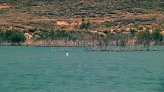 Réservoir Zapata Bardenas Reales de Navarra. Vidéo 07 fr