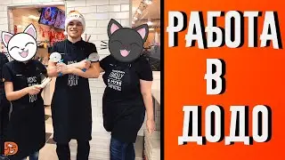 WORKING AS A PIZZA MAKER AT DODO