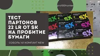 22lr тест на пробитие