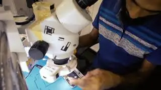 5s  එකක් ගලවලා බලමු ! Apple Teardown By Dilhan