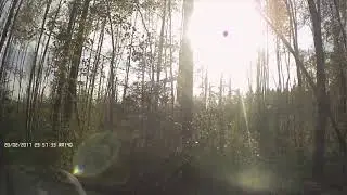 Дайхатсу Териос 98 г.