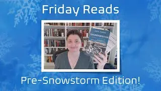 Friday Reads -- Pre-Snowstorm Edition