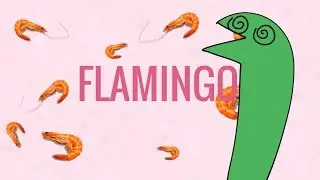 Flamingo meme