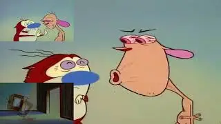 (Ren) 