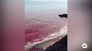 The bloody sea of Hormuz Island