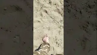 Хорошо в Сибири летом!...