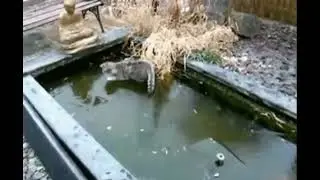 Хотелось споймать улов, да не получилось😂#short, #смешноевидео,#видеопрокота,#приколы