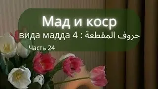 4 вида тянучек  в حروف المقطعة