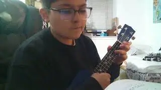 Michael Finnegan (Ukulele)