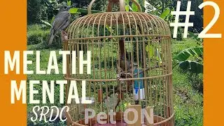 Meningkatkan Mental SRDC: Latihan Mental SRDC langsung di Hutan E2
