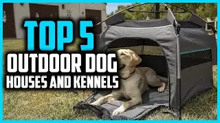 ✅Top 5 Best Outdoor Dog Houses and Kennels in 2024