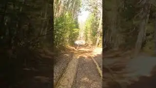 Дорога на Инзерские зубчатки