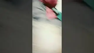 это просто Кошак