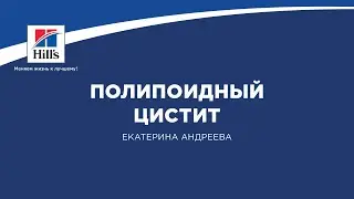 Вебинар на тему: «Полипоидный цистит». Лектор – Екатерина Андреева.