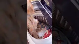 Washing Machine Ball  