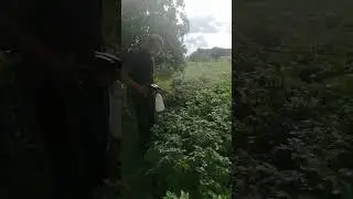 аккумуляторная мойка, моё применение