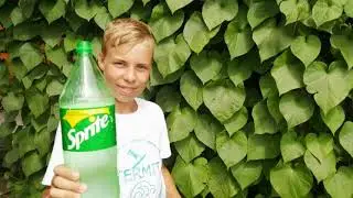 Мохито