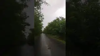 এই পথ যদি শেষ না হতো, তবে কেমন হতো বলতো! ❤️