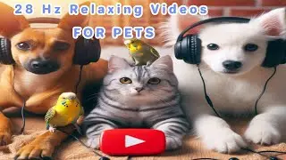 Relaxing 28 Hz Sound Therapy for Pets: Calming Frequency Music for Cats, Dogs To Watch