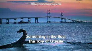Something in the Bay; The Tale of Chessie