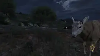 A Deer Just Stole Franklin’s Car in GTA 5 😱