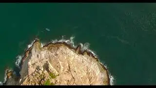 Sea shore and waves sounds relaxing short video