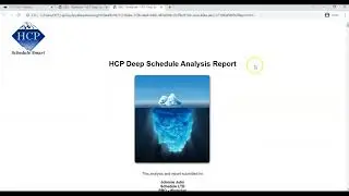 HCP-Go tutorial: Do it yourself - How to Analyze an MS-Project Schedule quickly