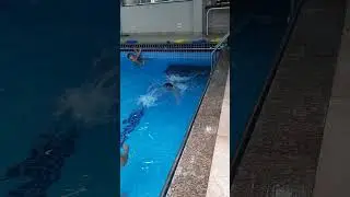 Peixe Vinícius 12.2021
