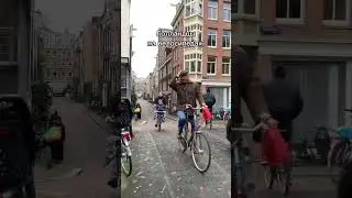 Голландцы на велосипедах #нидерланды #голландия