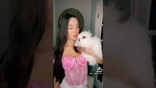🐰