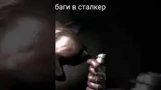 Баги и приколы сталкер #32