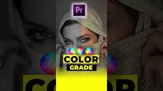 Copy Color Grading In Seconds ! Premiere Pro 