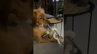 Маха 