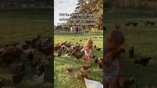 Wonder if that’s what he meant when he said to get more? #chickens #homestead #farm