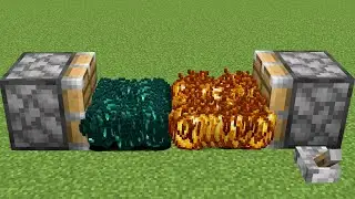 1000 ender pearl + 1000 golden apple
