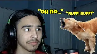 Bit by a Dog... STORYTIME