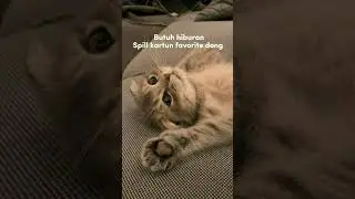 kartun favorit kalian apa?!